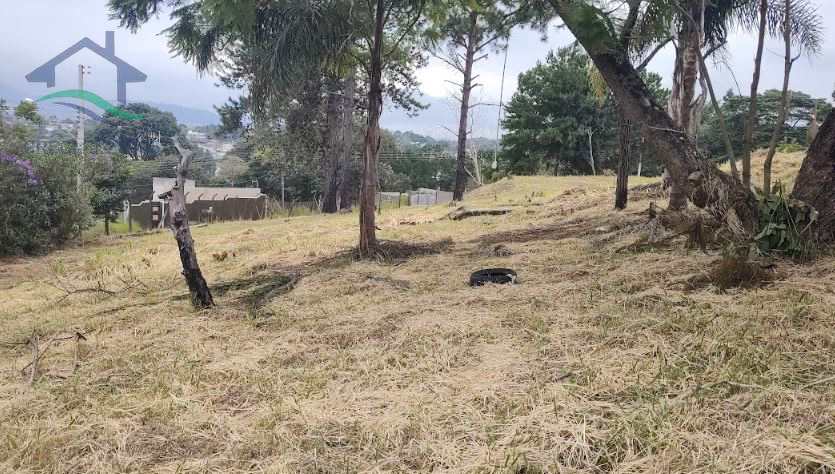 Fazenda à venda com 2 quartos, 300m² - Foto 23