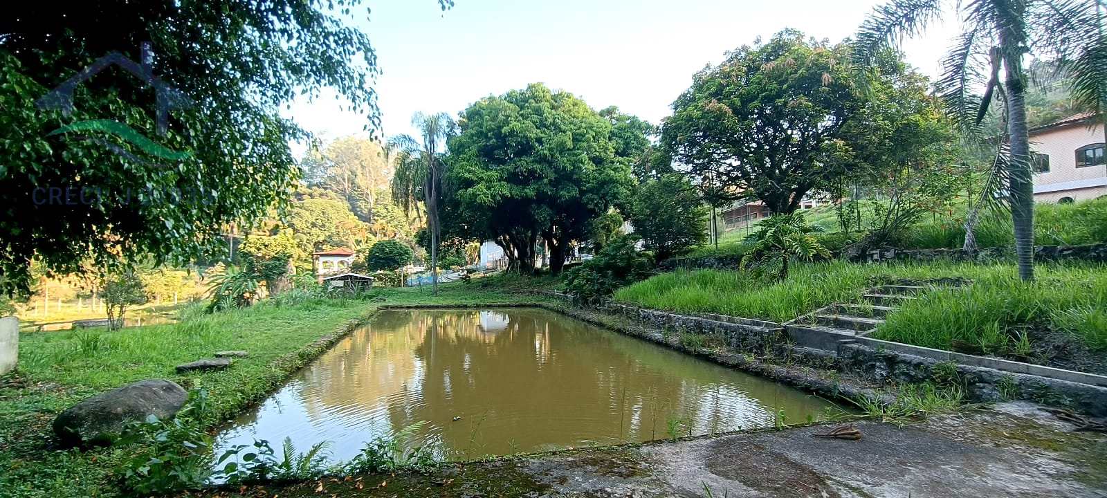 Fazenda à venda com 5 quartos, 700m² - Foto 22