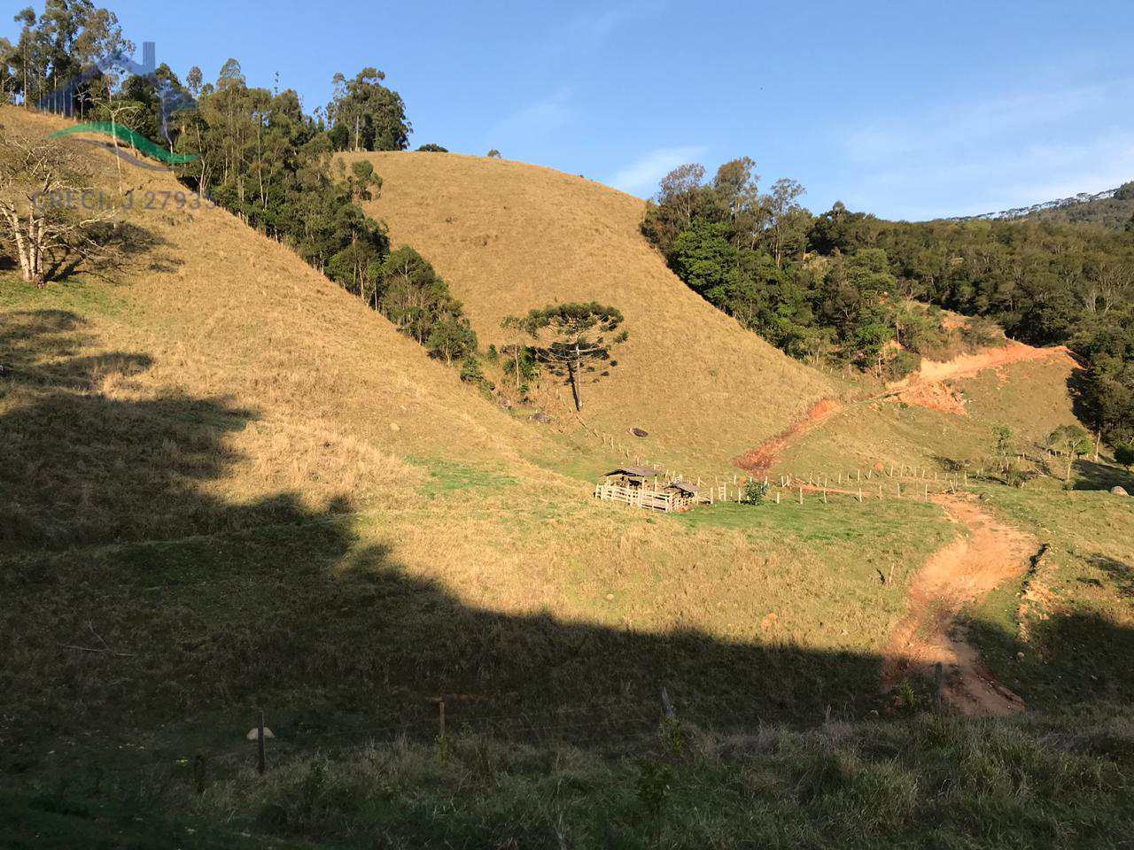 Fazenda à venda com 3 quartos, 230m² - Foto 2