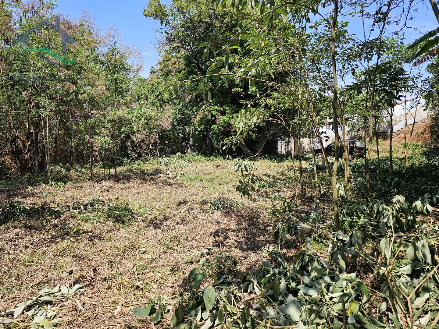 Terreno à venda, 250m² - Foto 14