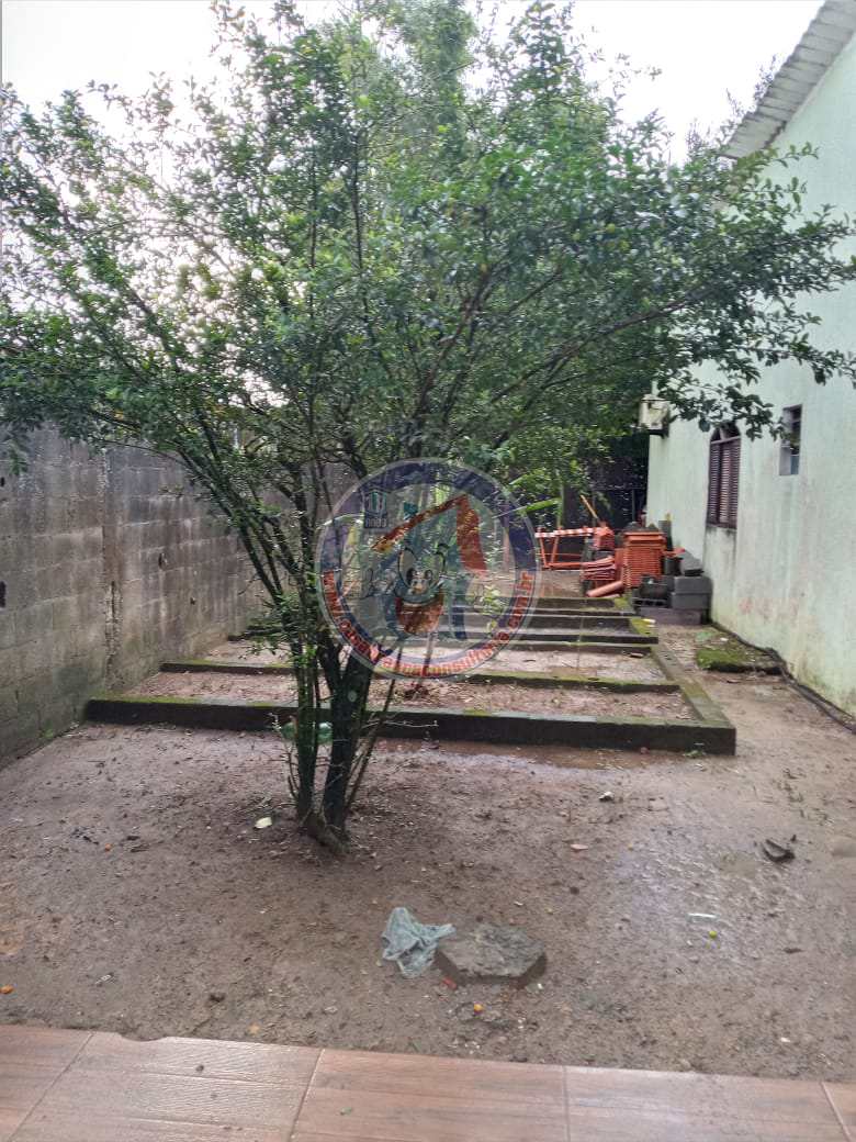 Fazenda à venda com 2 quartos, 1000m² - Foto 4