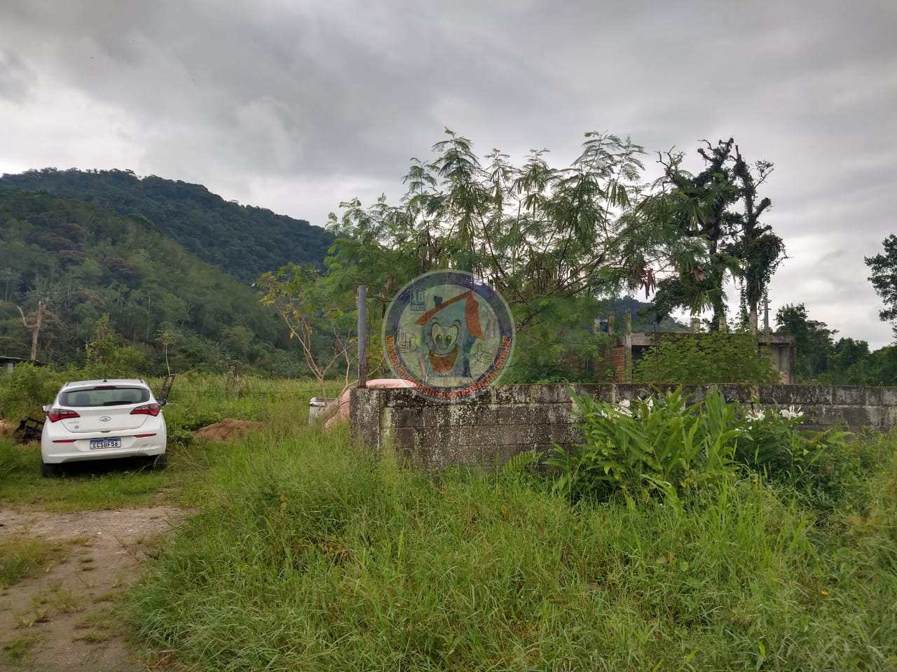 Terreno, 250 m² - Foto 5