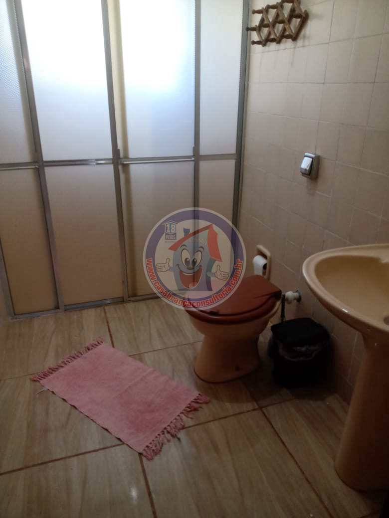 Fazenda à venda com 3 quartos, 250m² - Foto 43