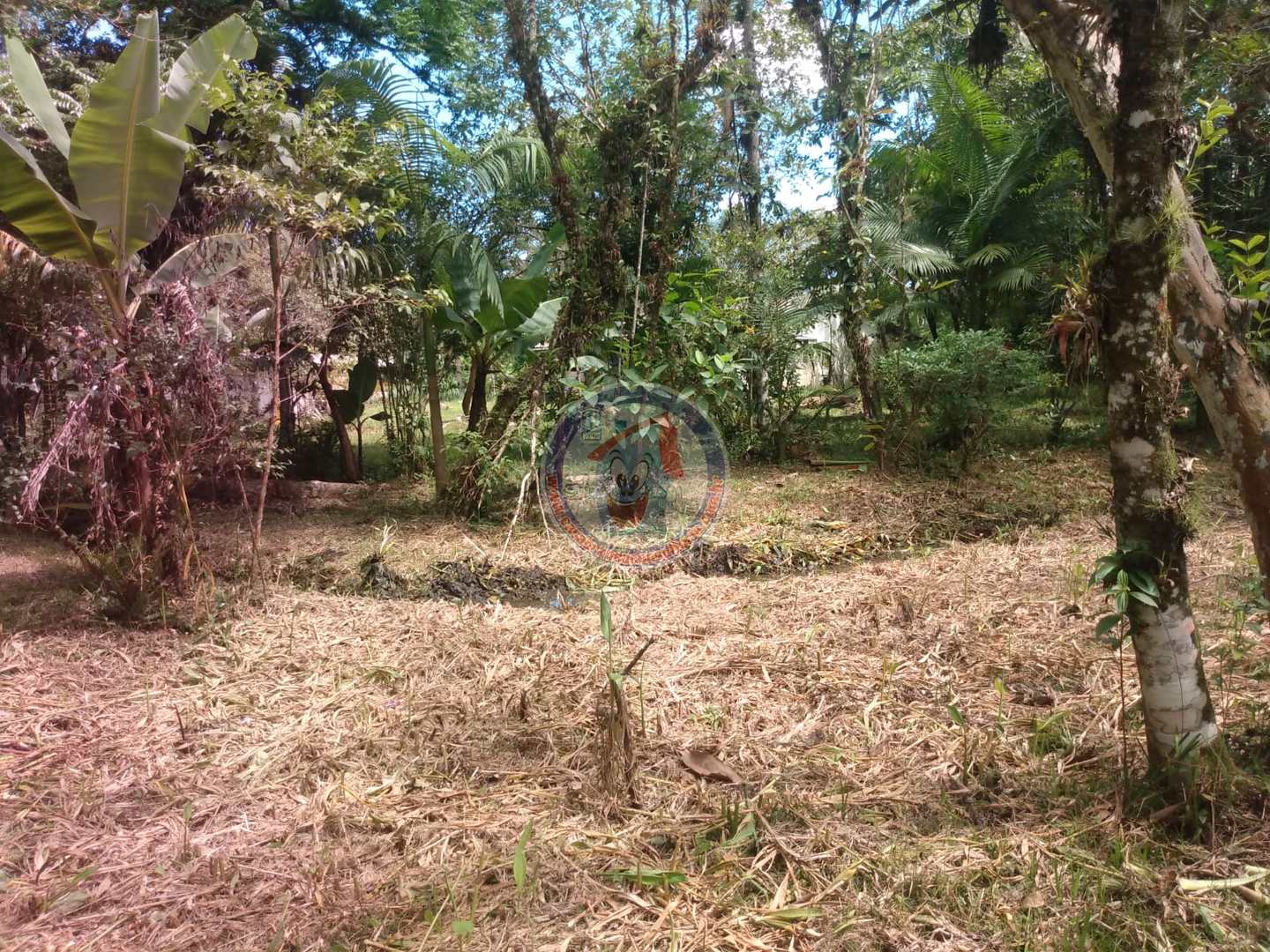 Chácara à venda com 3 quartos, 10200m² - Foto 22