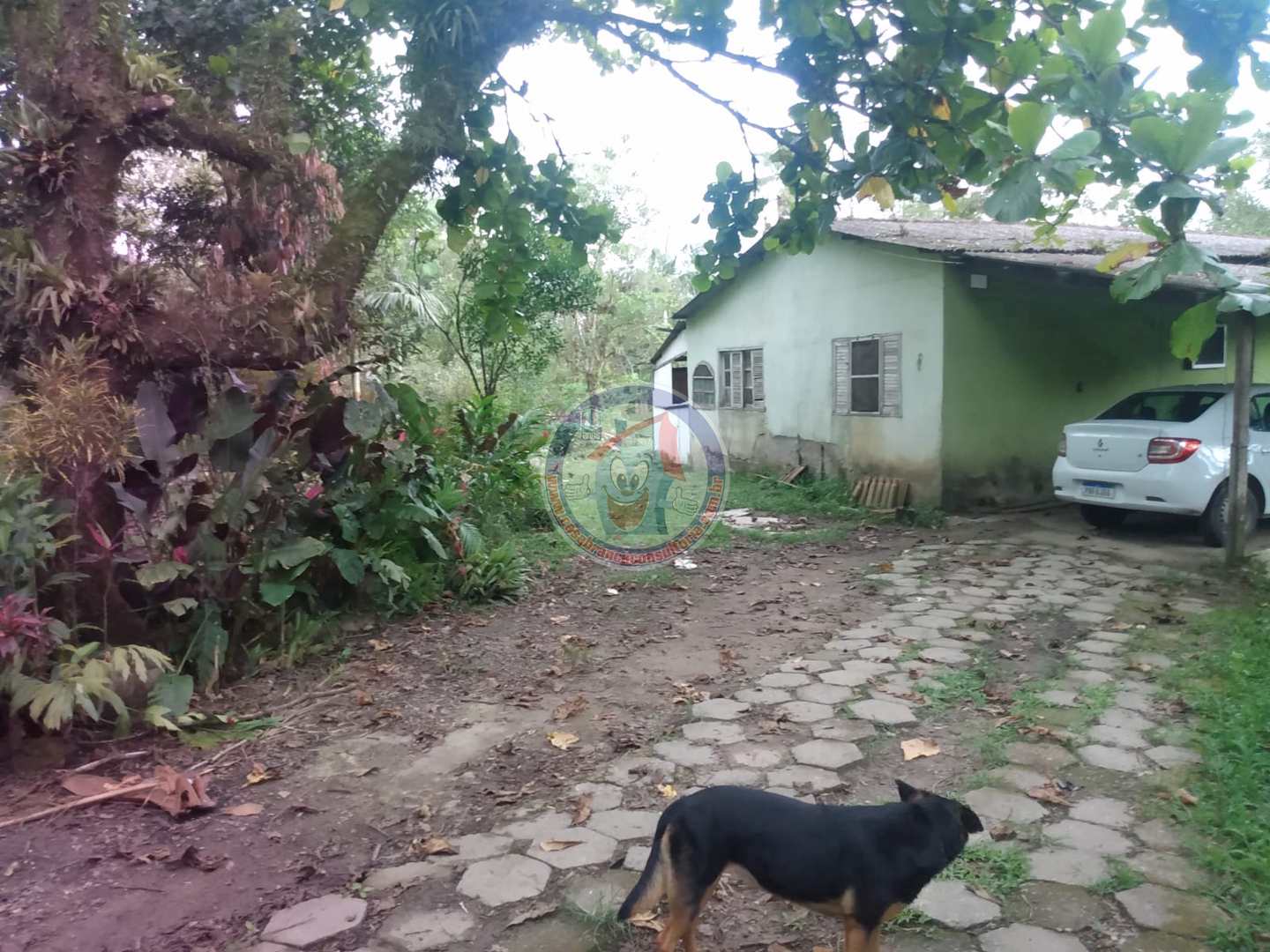 Chácara à venda com 3 quartos, 10200m² - Foto 3