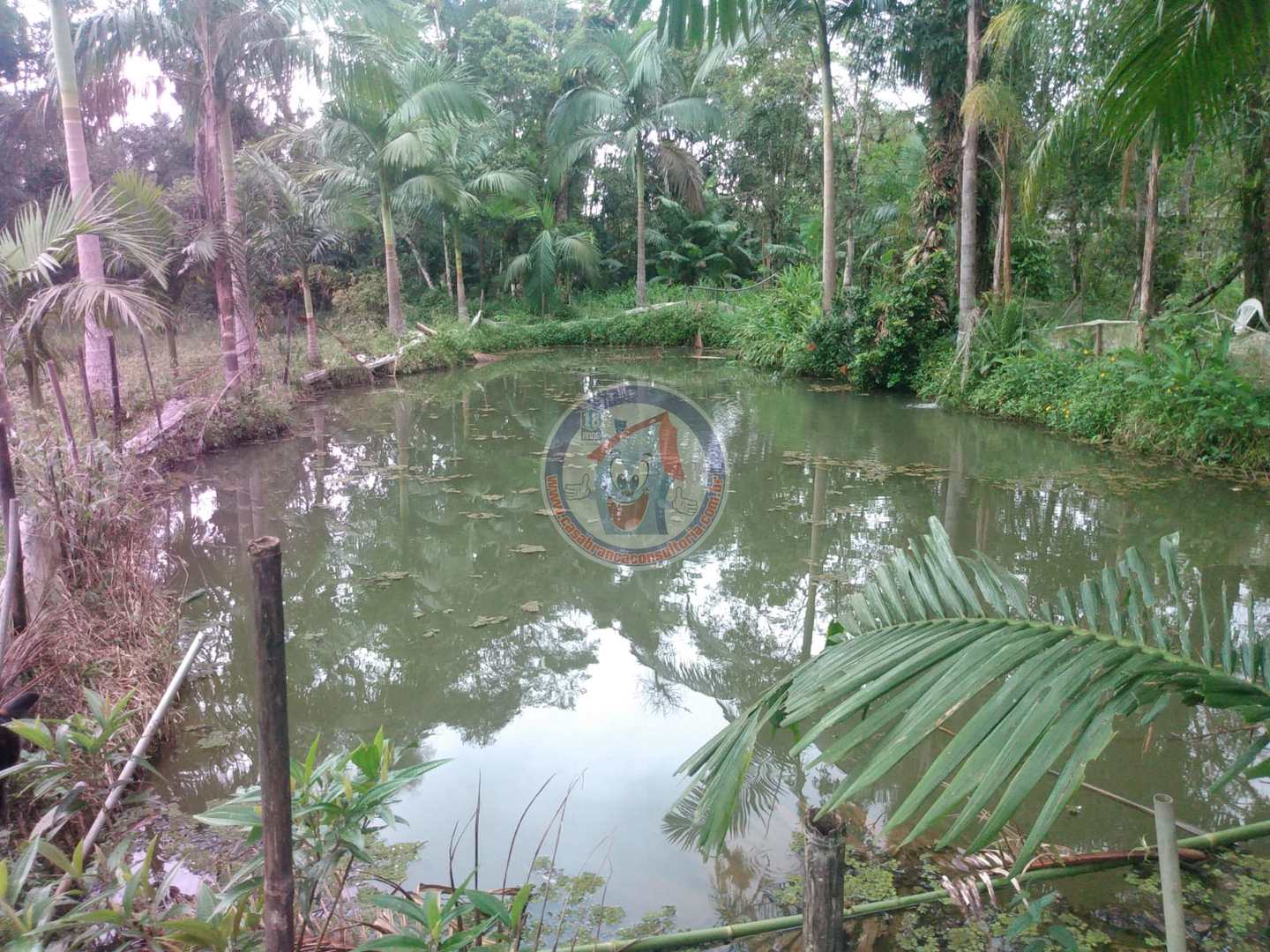 Chácara à venda com 3 quartos, 10200m² - Foto 2