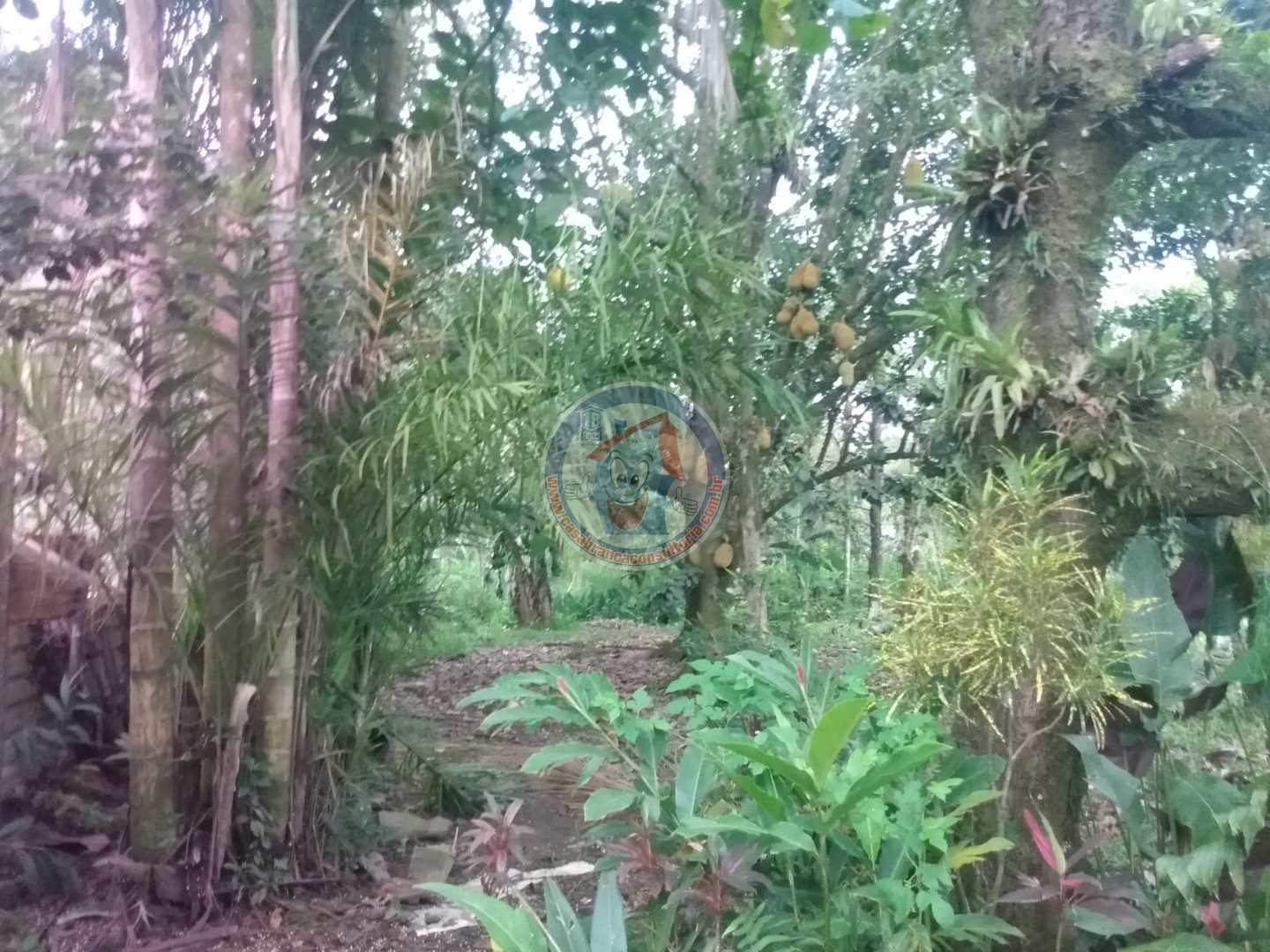 Chácara à venda com 3 quartos, 10200m² - Foto 26