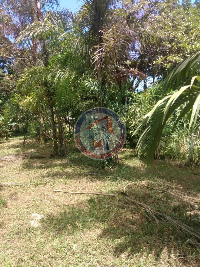 Chácara à venda com 3 quartos, 10200m² - Foto 4