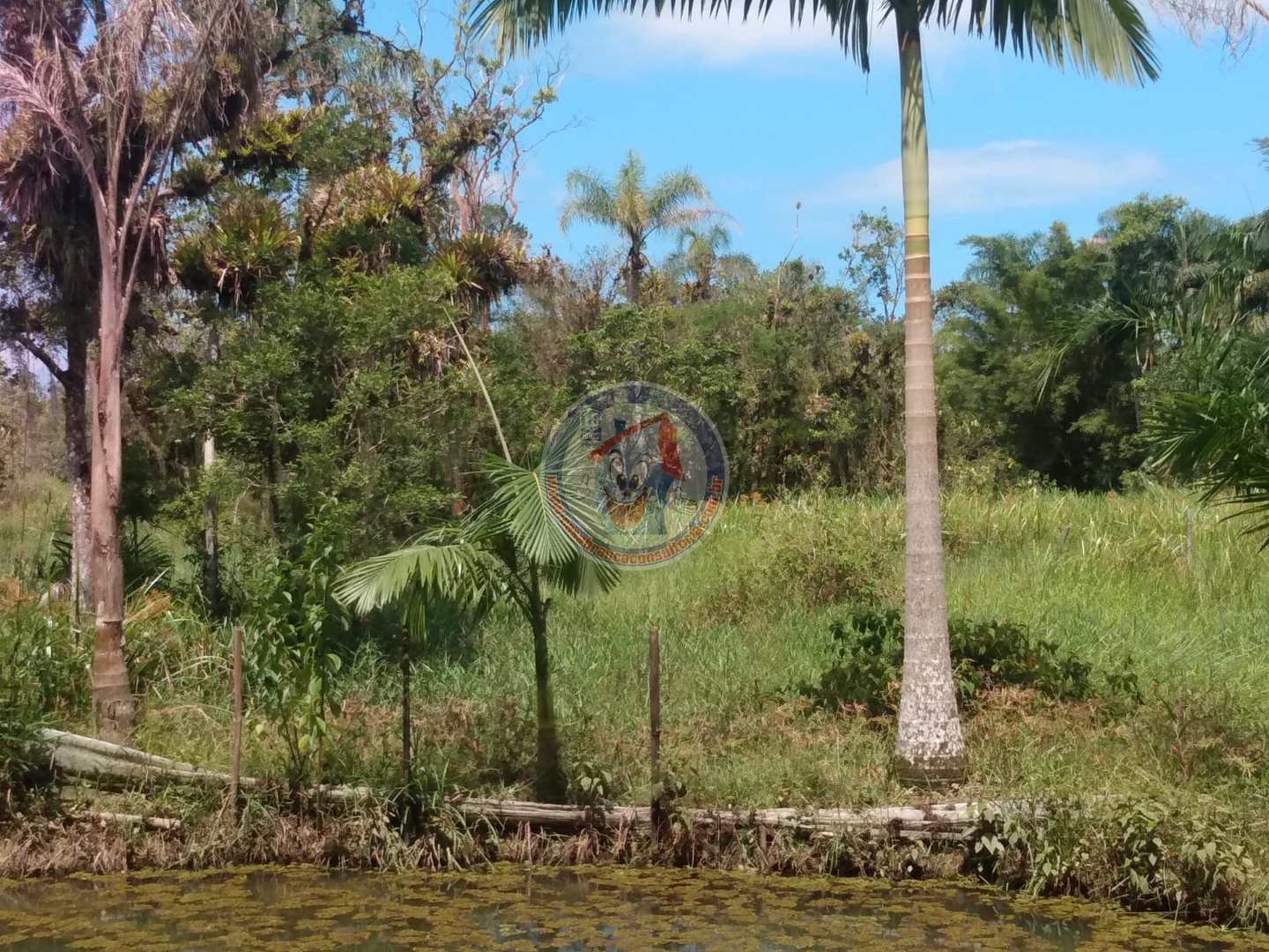 Chácara à venda com 3 quartos, 10200m² - Foto 8