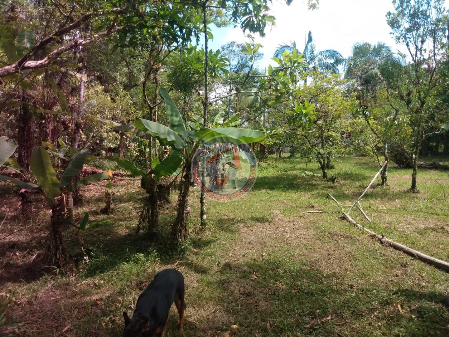 Chácara à venda com 3 quartos, 10200m² - Foto 20