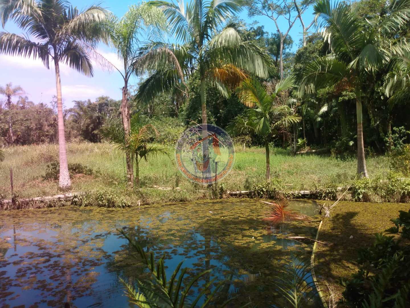 Chácara à venda com 3 quartos, 10200m² - Foto 21