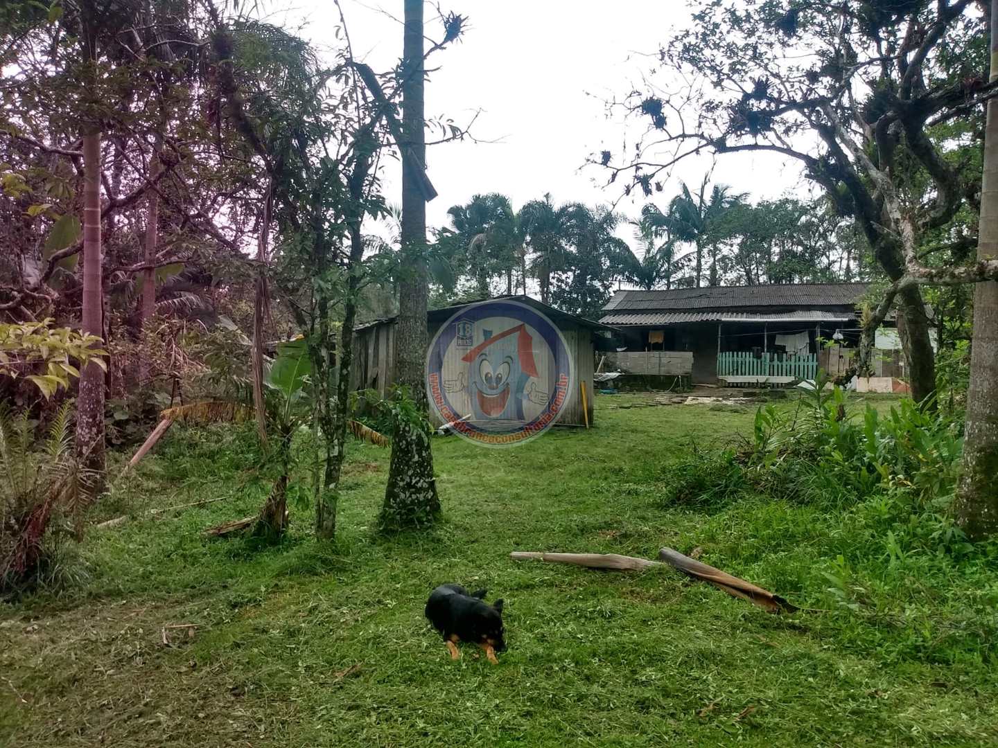 Chácara à venda com 3 quartos, 10200m² - Foto 1