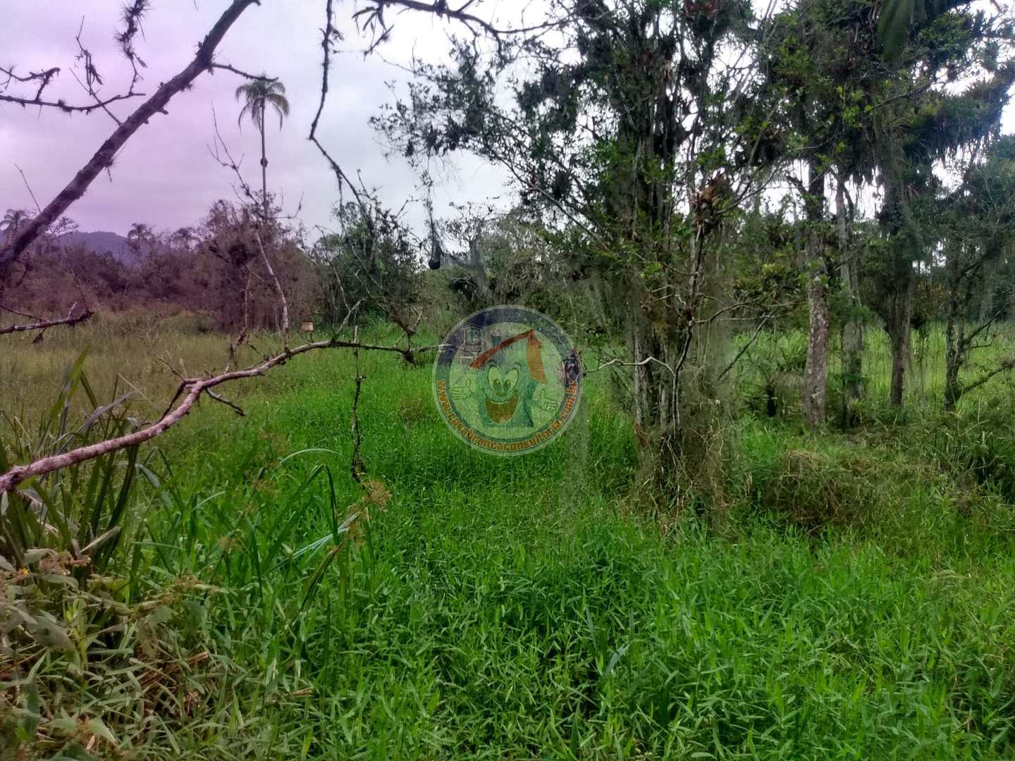 Chácara à venda com 3 quartos, 10200m² - Foto 24