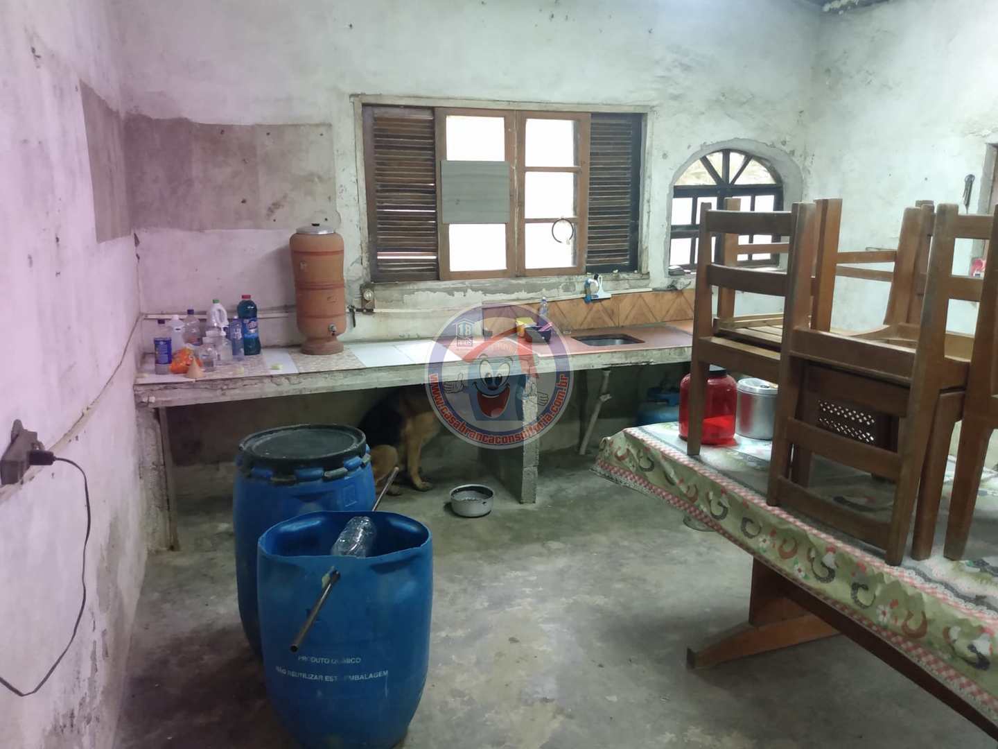 Chácara à venda com 3 quartos, 10200m² - Foto 15