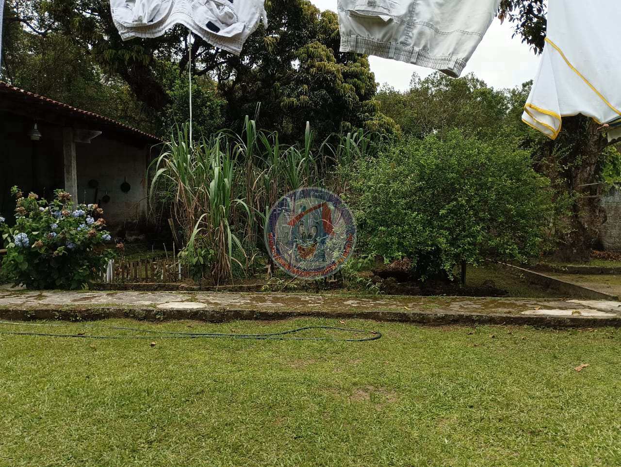 Chácara à venda com 3 quartos, 254m² - Foto 8