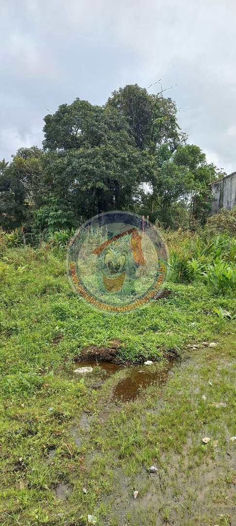 Terreno, 126 m² - Foto 2