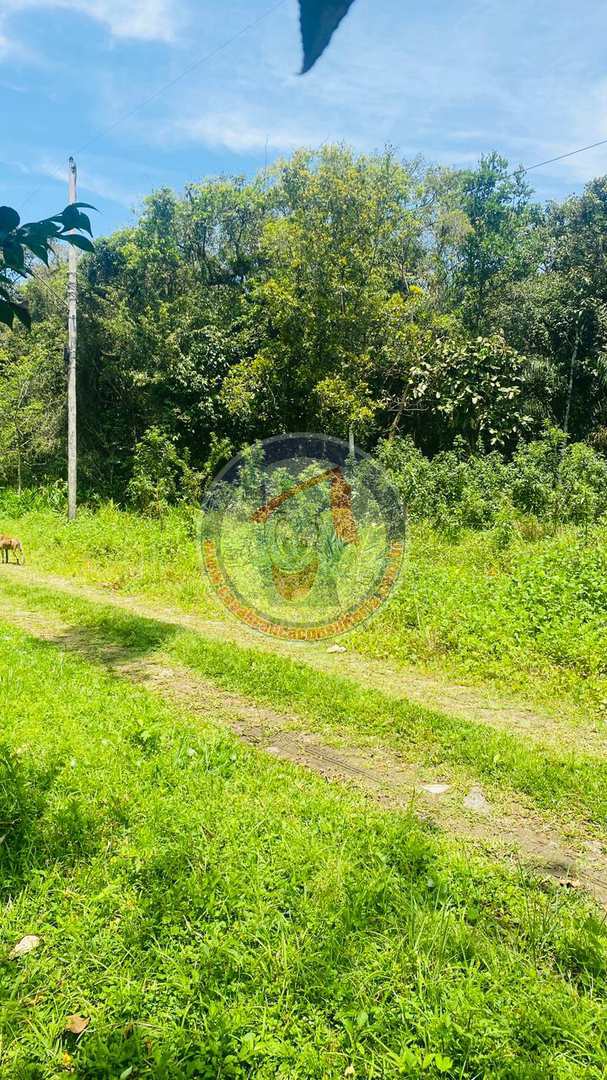 Terreno, 1000 m² - Foto 2