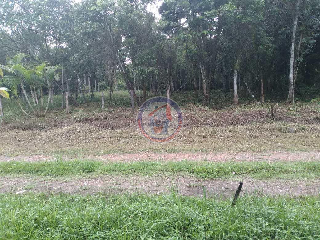 Terreno, 1000 m² - Foto 3