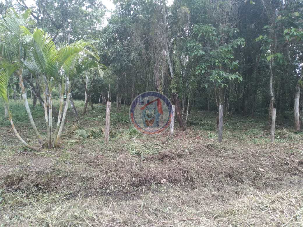 Terreno, 1000 m² - Foto 5