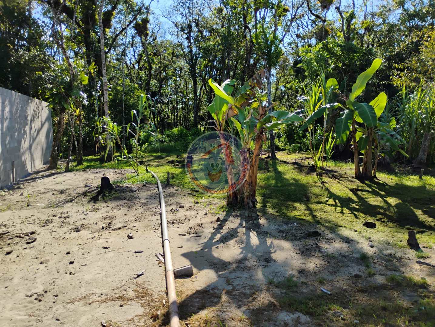 Chácara à venda com 2 quartos, 100m² - Foto 12