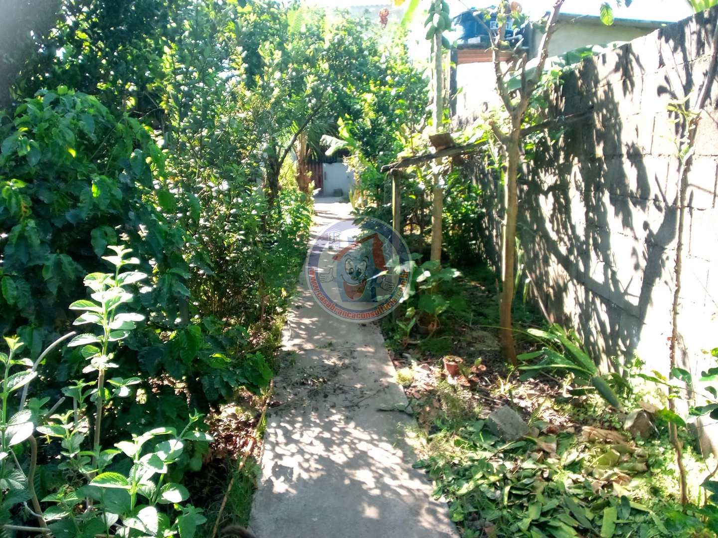 Chácara à venda com 2 quartos, 370m² - Foto 1