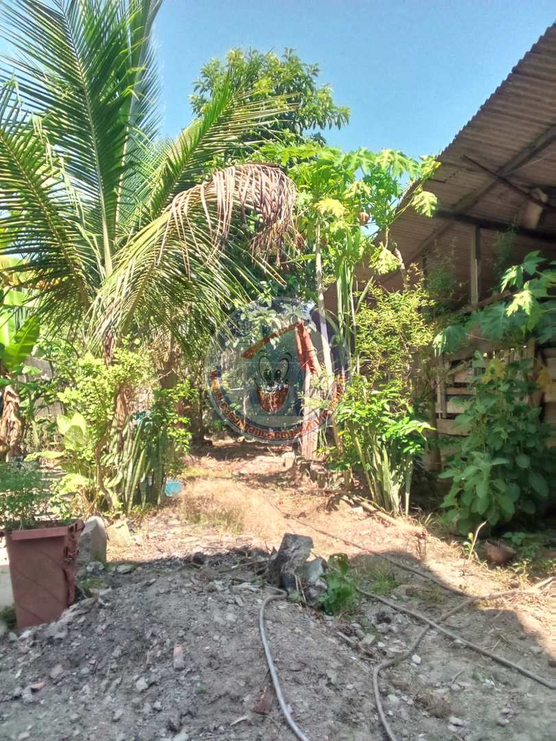 Chácara à venda com 2 quartos, 370m² - Foto 3