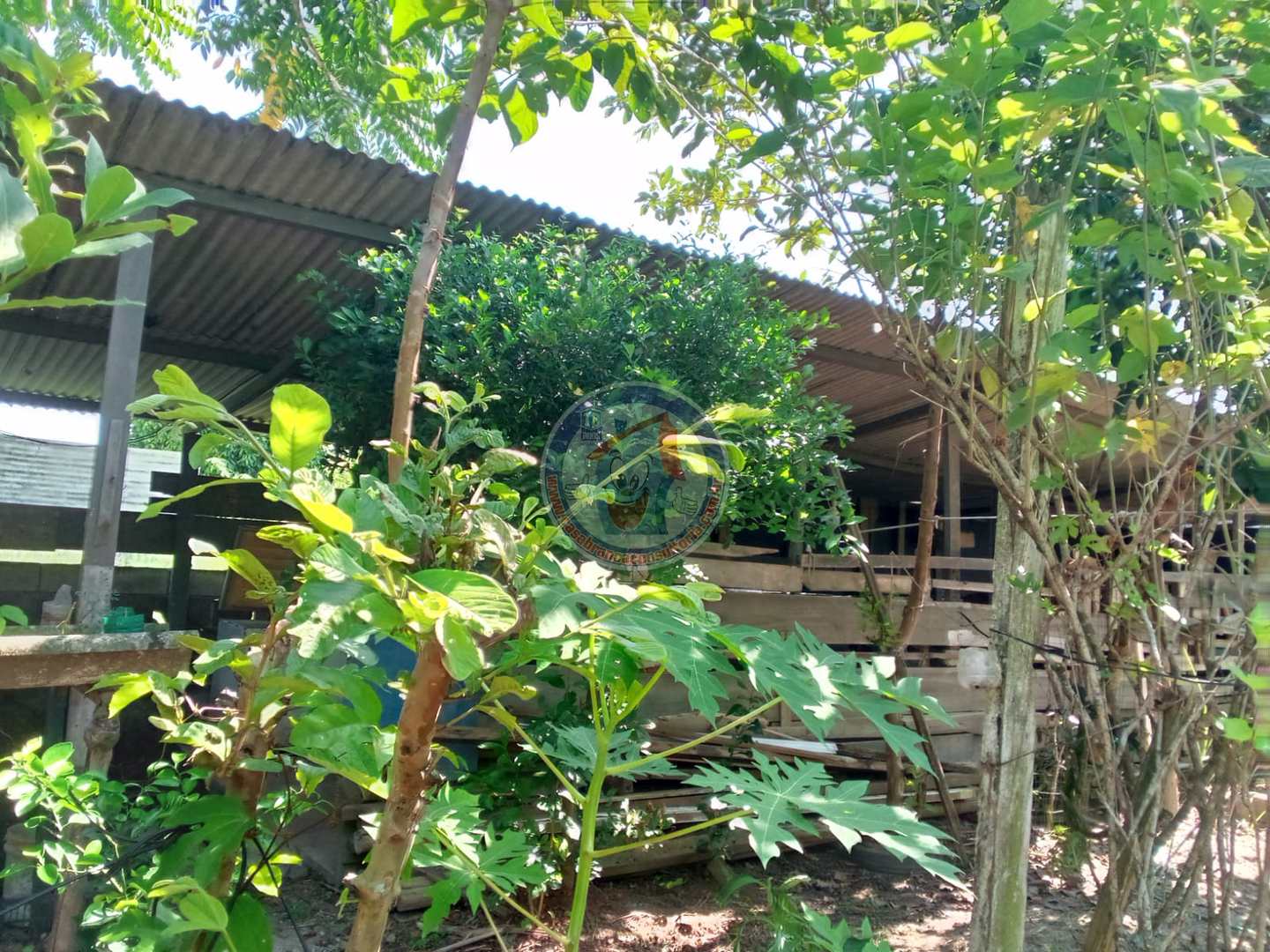 Chácara à venda com 2 quartos, 370m² - Foto 6