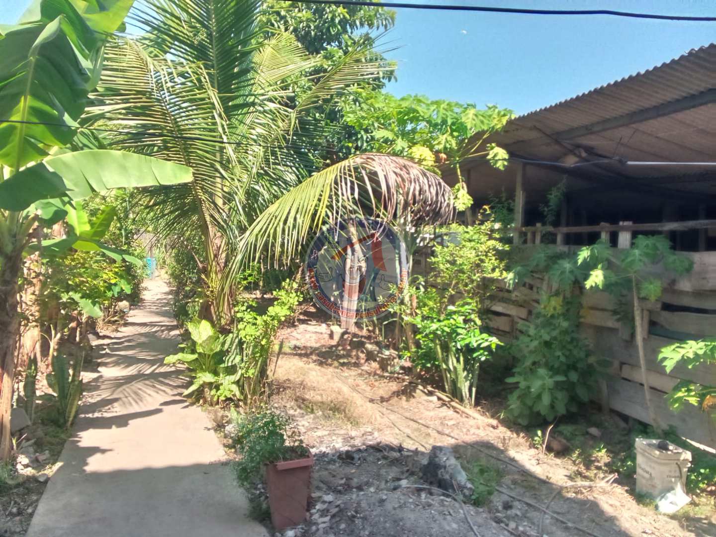 Chácara à venda com 2 quartos, 370m² - Foto 4