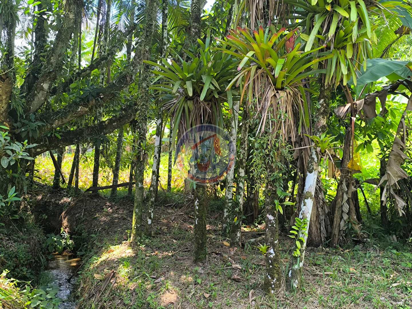 Chácara à venda com 1 quarto, 2400m² - Foto 1