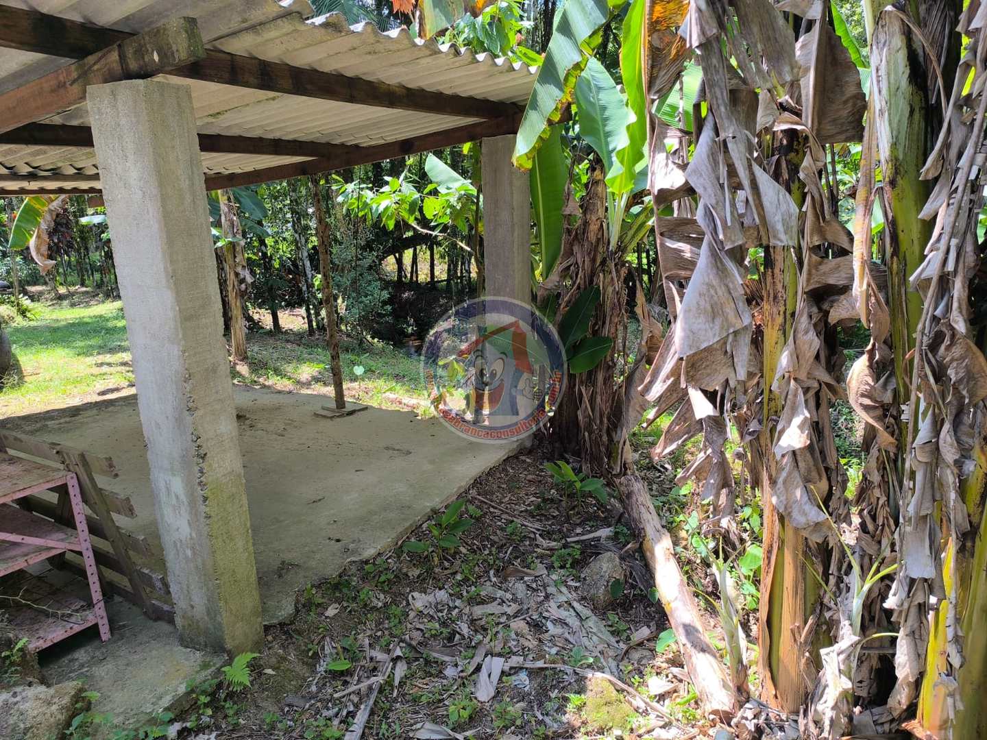 Chácara à venda com 1 quarto, 2400m² - Foto 6