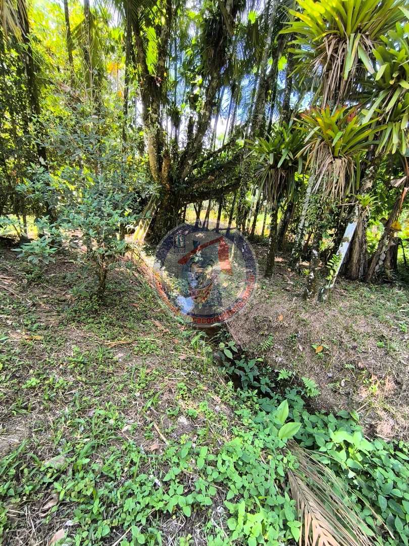 Chácara à venda com 1 quarto, 2400m² - Foto 3