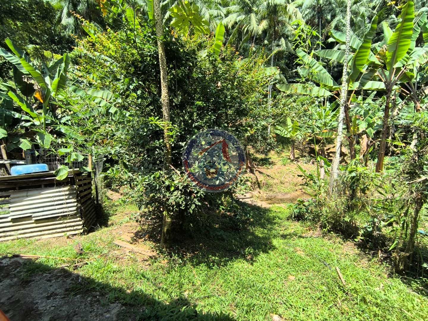 Chácara à venda com 1 quarto, 2400m² - Foto 12