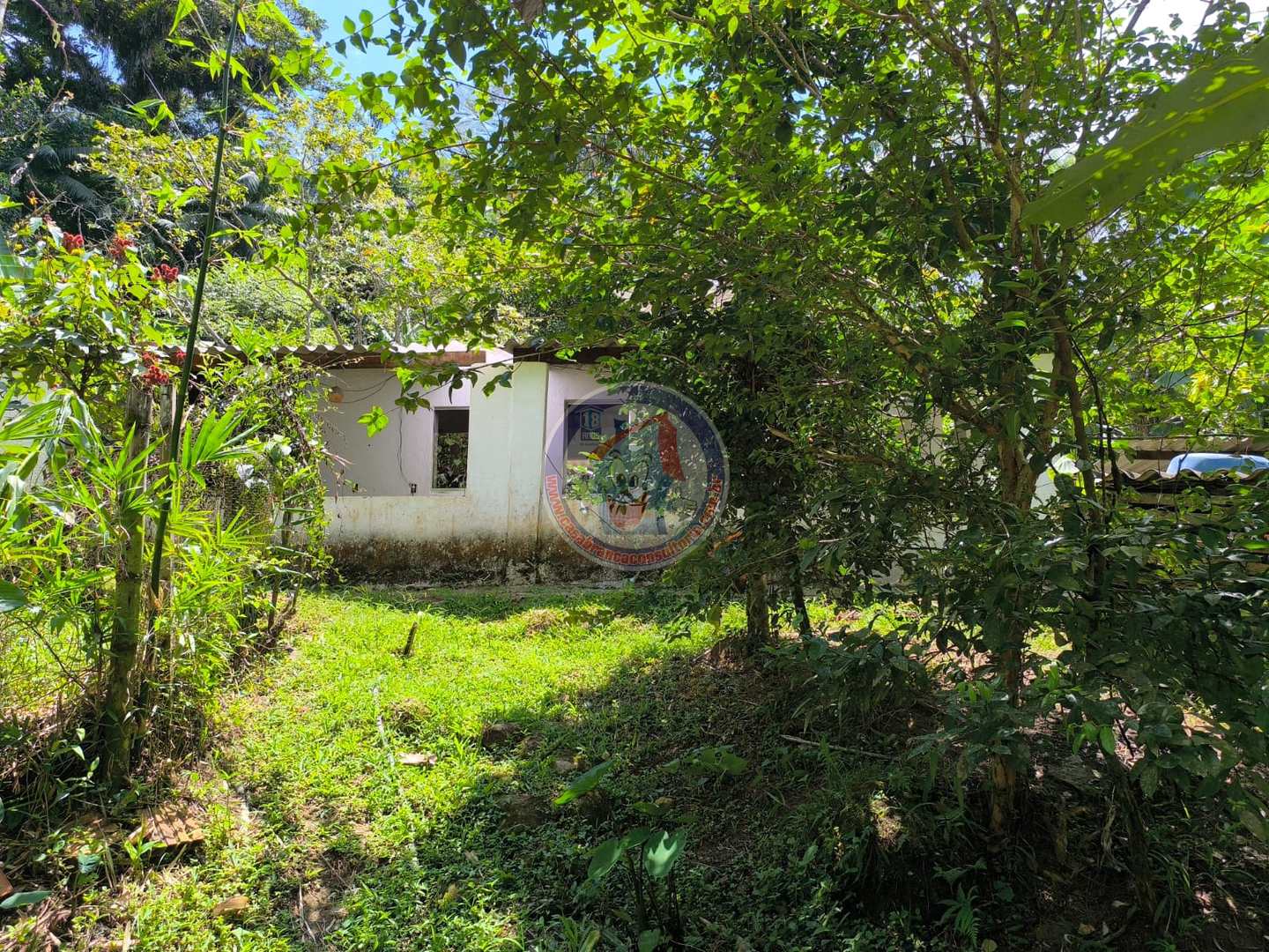 Chácara à venda com 1 quarto, 2400m² - Foto 7