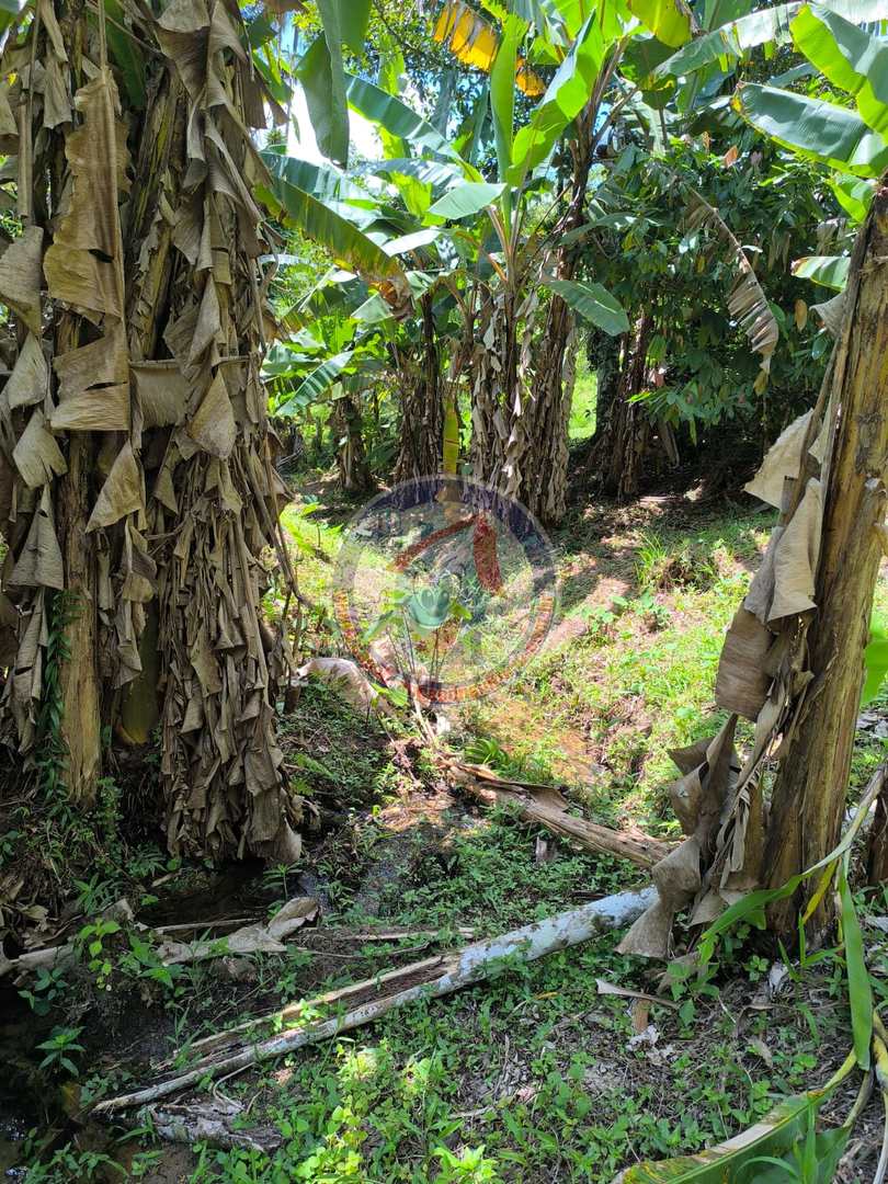 Chácara à venda com 1 quarto, 2400m² - Foto 8