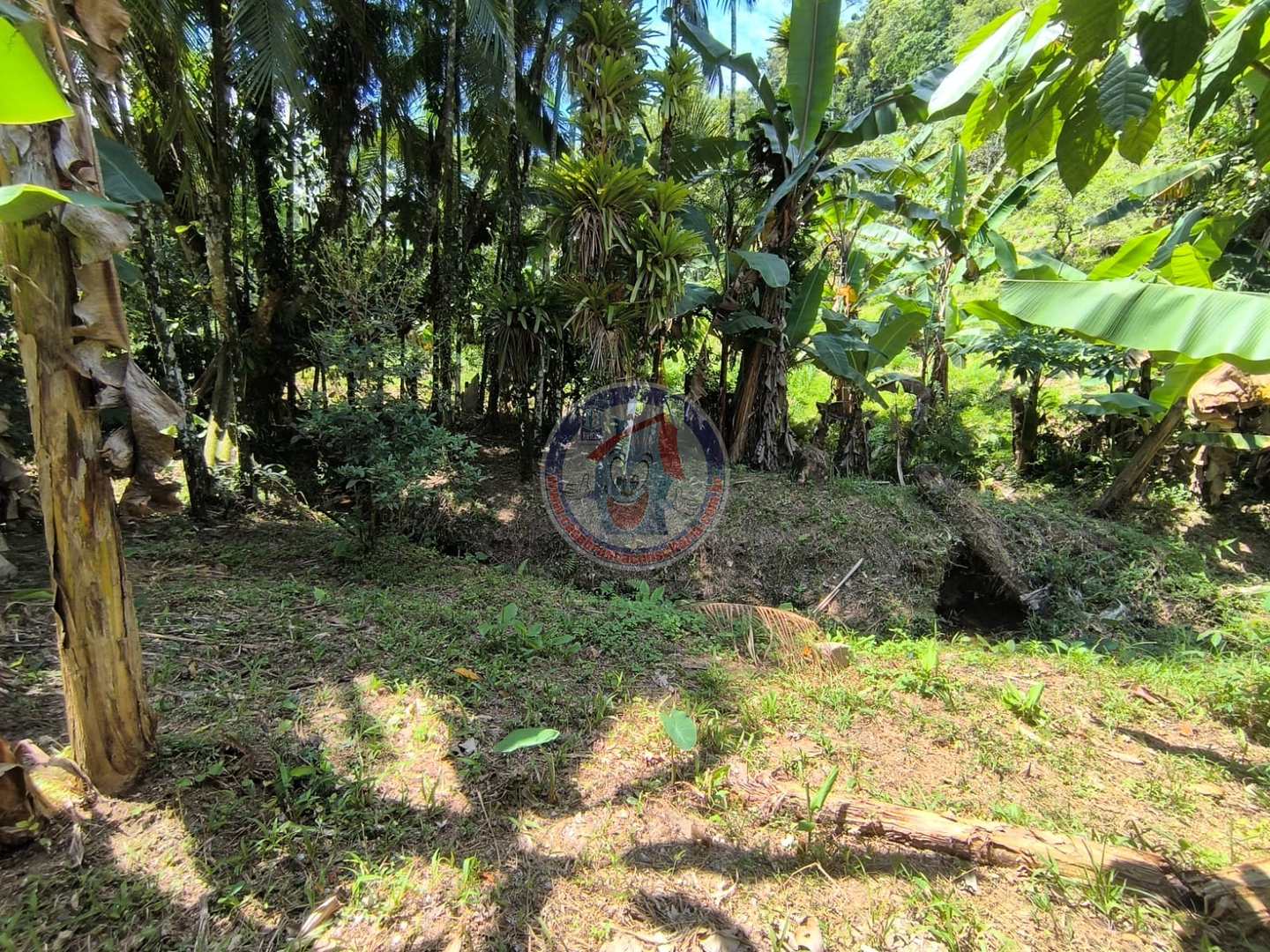 Chácara à venda com 1 quarto, 2400m² - Foto 4