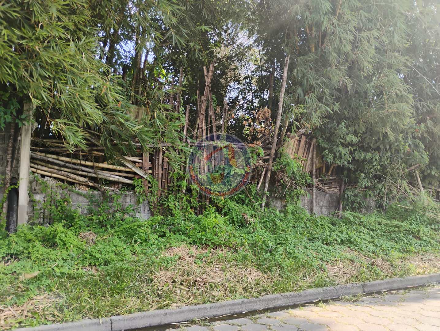 Terreno, 600 m² - Foto 3