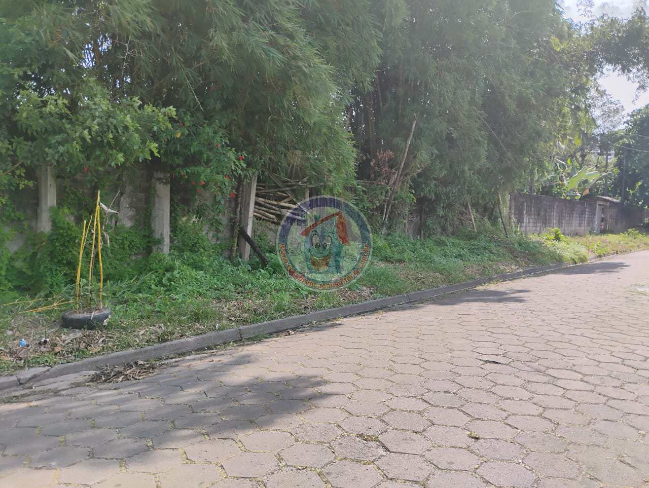 Terreno, 600 m² - Foto 2