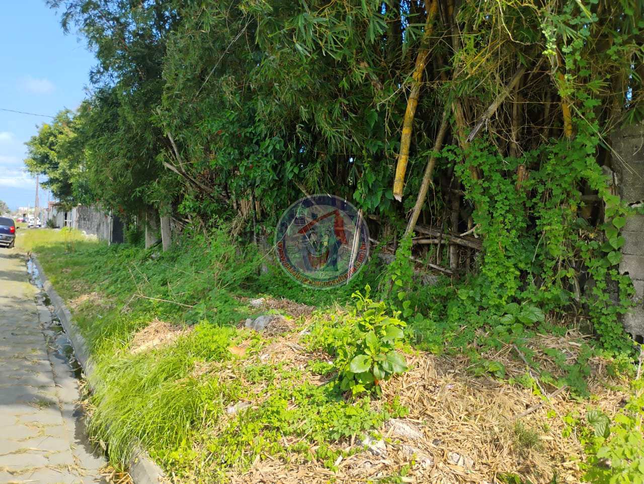 Terreno, 600 m² - Foto 4