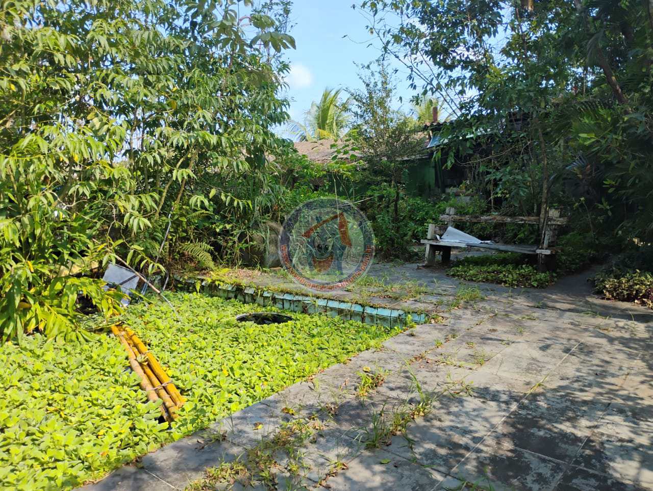 Terreno, 600 m² - Foto 5