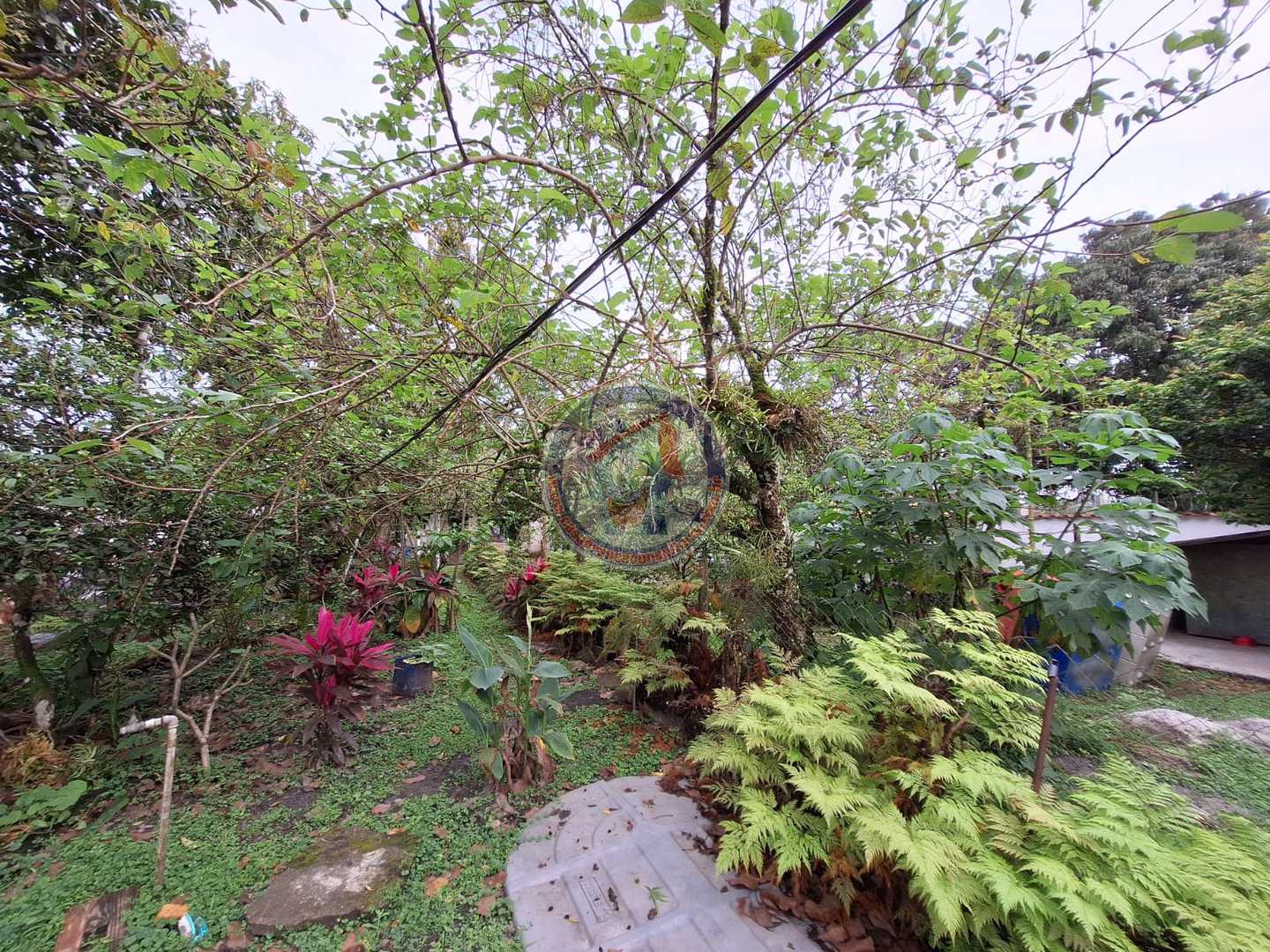 Chácara à venda com 5 quartos, 1625m² - Foto 12