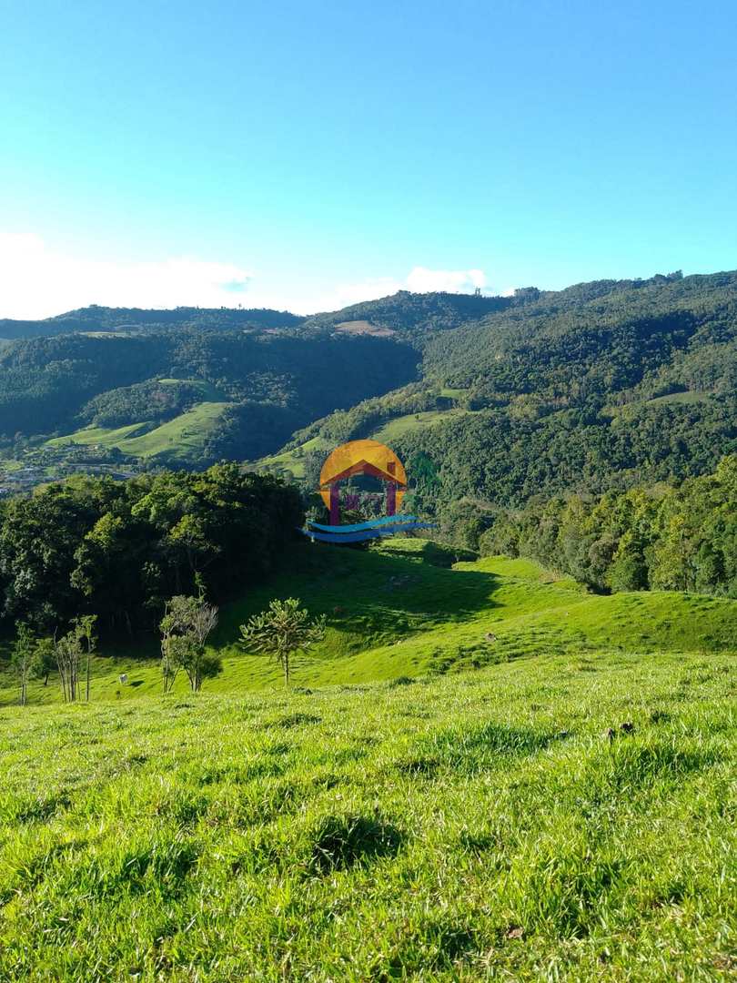 Fazenda à venda com 3 quartos, 120000m² - Foto 39