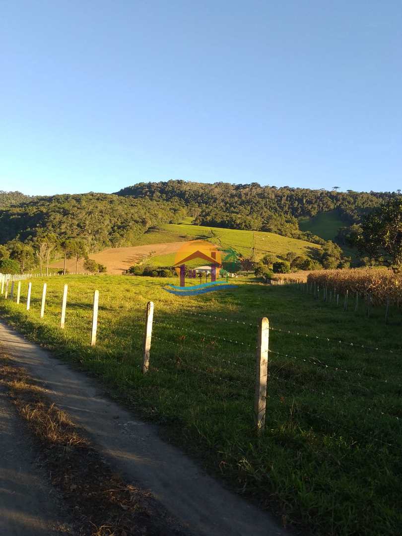 Fazenda à venda com 3 quartos, 120000m² - Foto 14