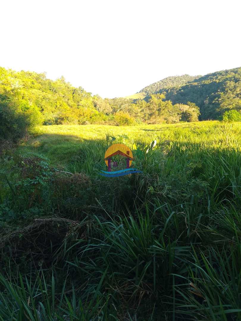 Fazenda à venda com 3 quartos, 120000m² - Foto 10