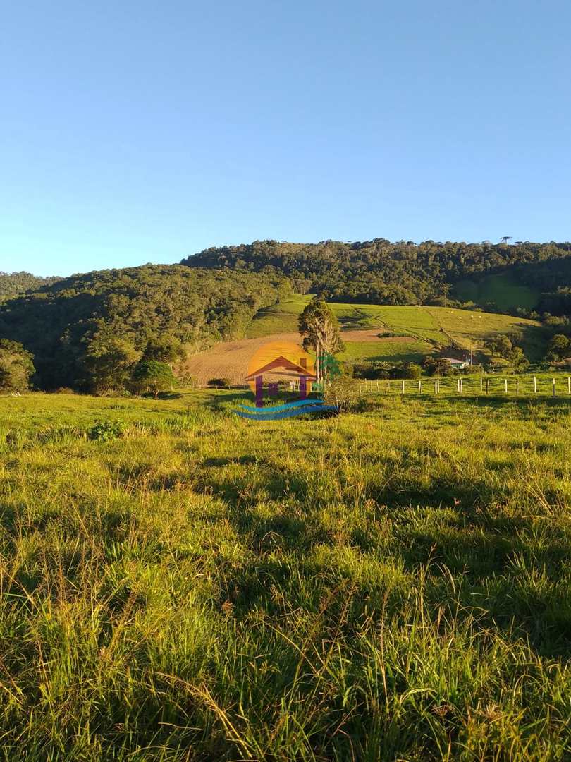 Fazenda à venda com 3 quartos, 120000m² - Foto 6