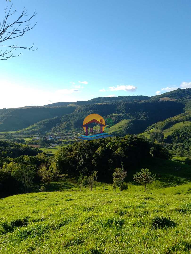 Fazenda à venda com 3 quartos, 120000m² - Foto 40