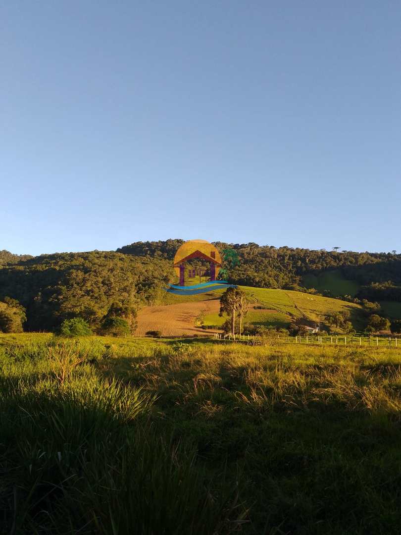 Fazenda à venda com 3 quartos, 120000m² - Foto 9