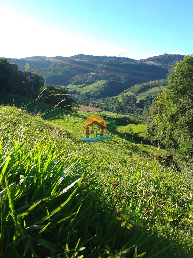 Fazenda à venda com 3 quartos, 120000m² - Foto 37