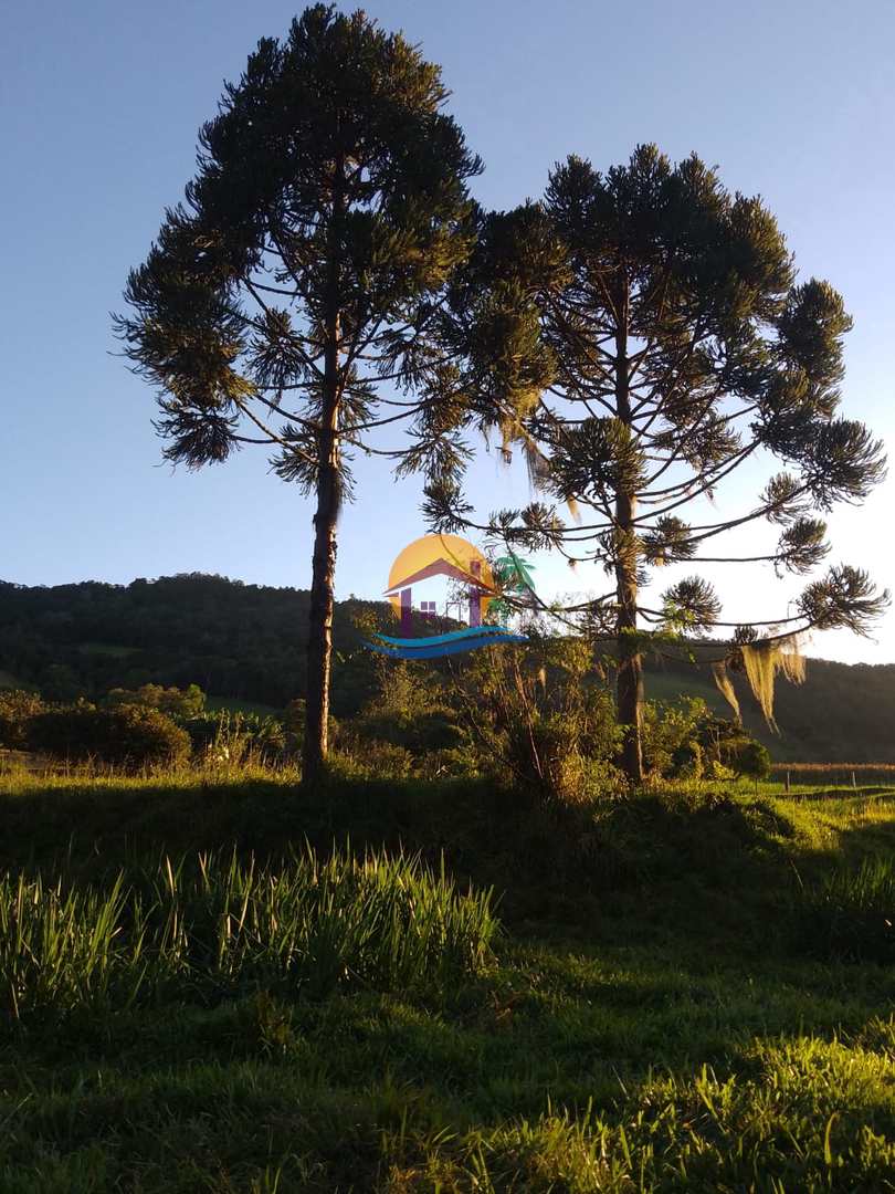 Fazenda à venda com 3 quartos, 120000m² - Foto 3