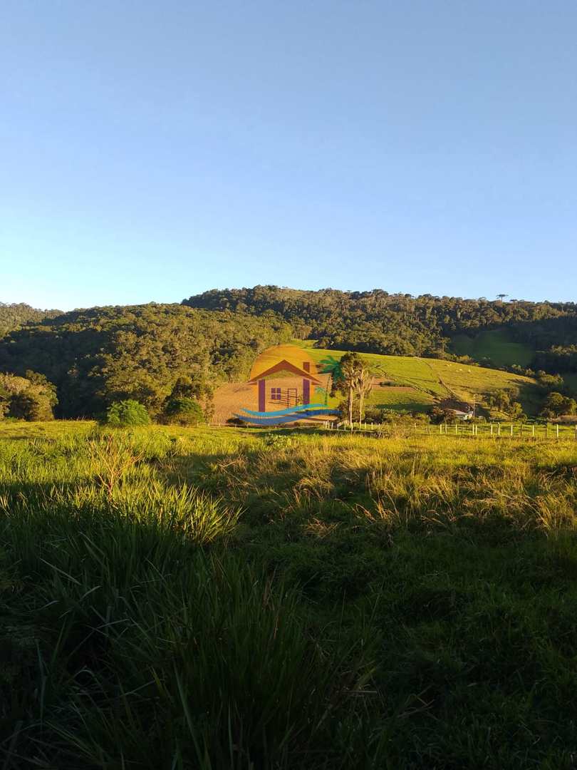 Fazenda à venda com 3 quartos, 120000m² - Foto 7