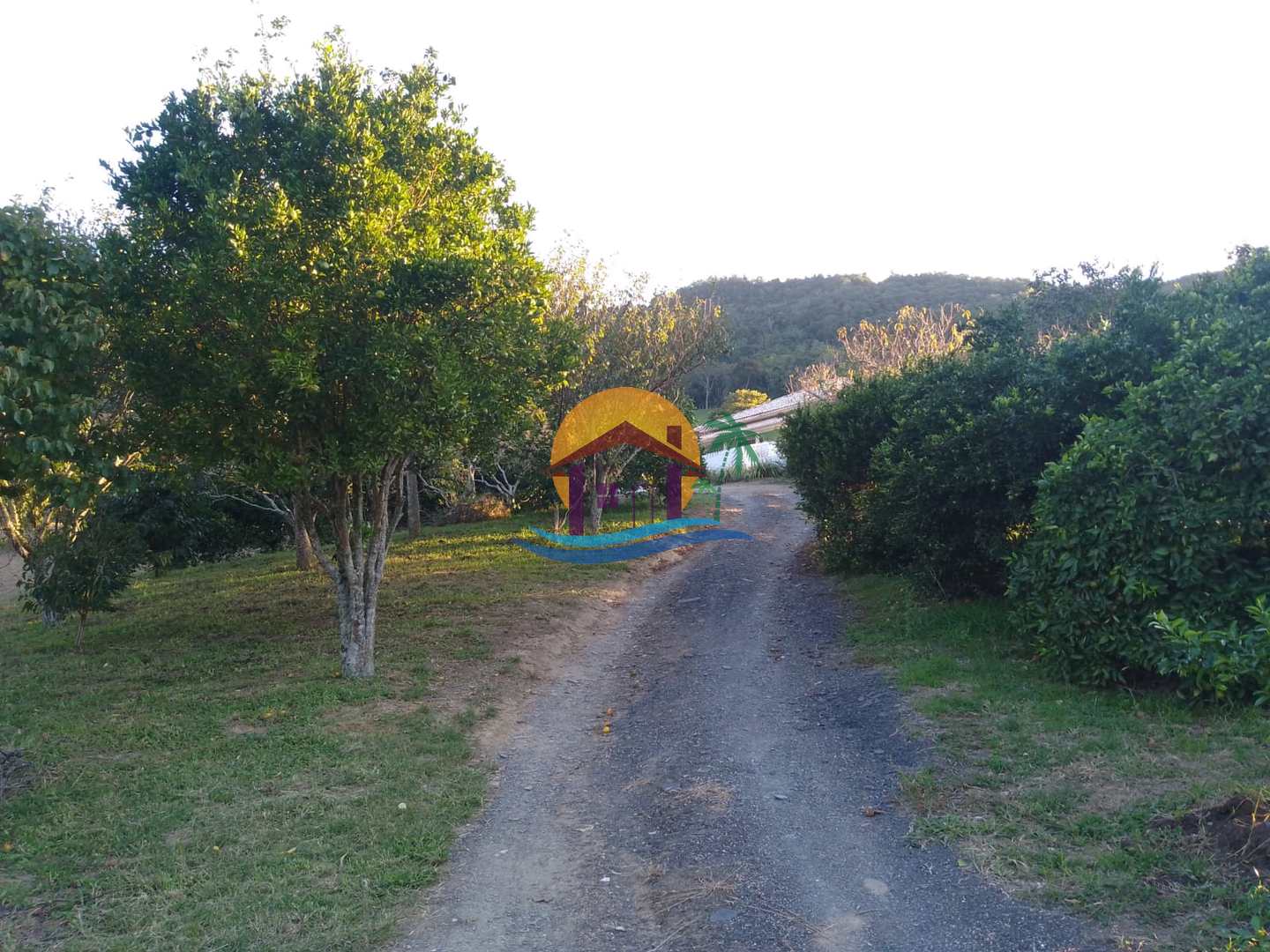 Fazenda à venda com 3 quartos, 120000m² - Foto 1